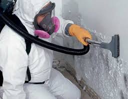 Why You Should Choose Our Mold Remediation Services in North Madison, OH